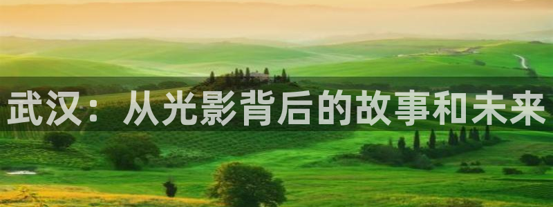 玖玖爱在线视频网站：武汉：从光影背后的故事和未来