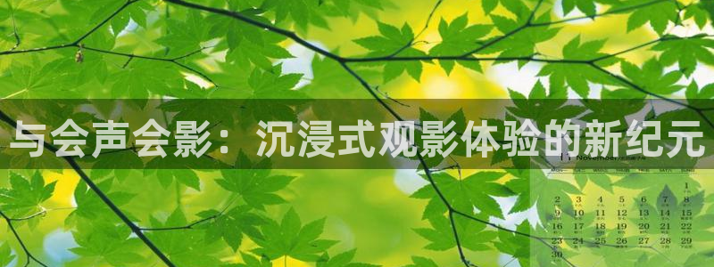 玖玖爱精品视频：与会声会影：沉浸式观影体验的新纪元