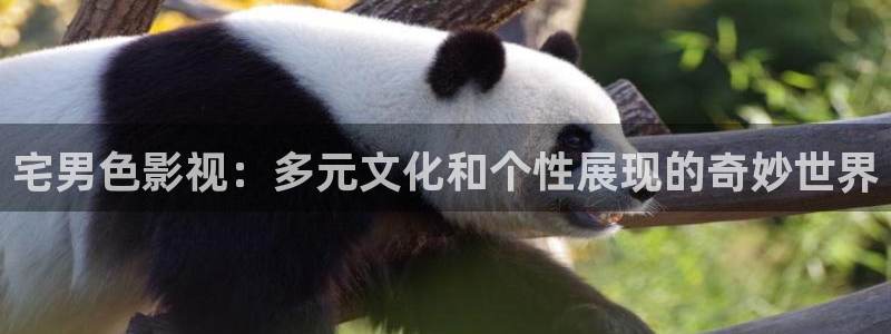 玖玖爱在线免费观看视频：宅男色影视：多元文化和个性展现的奇妙世界