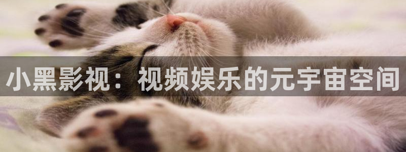 玖玖操在线视频：小黑影视：视频娱乐的元宇宙空间