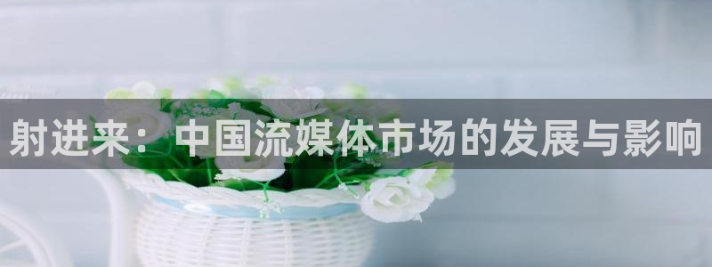 玖玖爱国产视频：射进来：中国流媒体市场的发展与影响